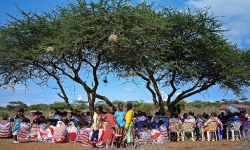 Vil kaste ut Masai-folket for at turistene skal få skyte løver