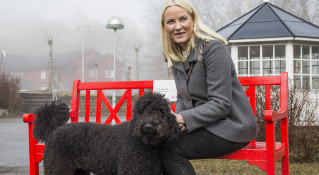 Hunden til kronprinsfamilien er kommet til rette