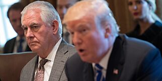 New York Times: – Trump vil sparke Tillerson