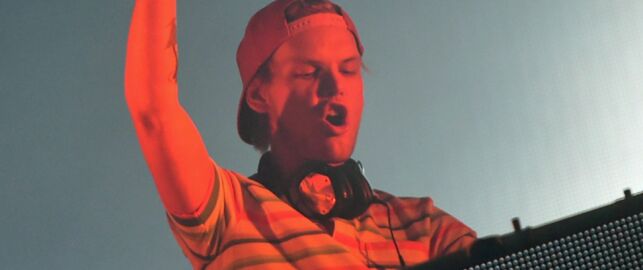   Weight health, anxiety and work 24 hours 24. Thus became Avicii the world star 