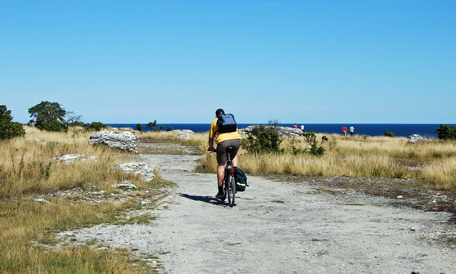 TOHJULSFERIE: Å sykle er en herlig måte å utforske øyas 77 mil lange kystlinje og flotte natur på. Foto: Gotland.net TOHJULSFERIE: Å sykle er en herlig måte å utforske øyas 77 mil lange kystlinje og flotte natur på. Foto: Gotland.net
