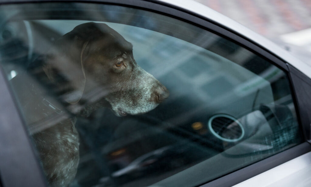 Så raskt kan bilen din bli en dødsfelle