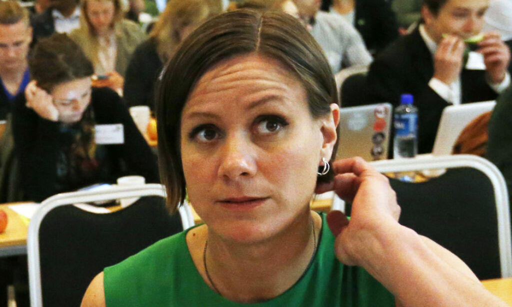 MDG bommer med kritikken