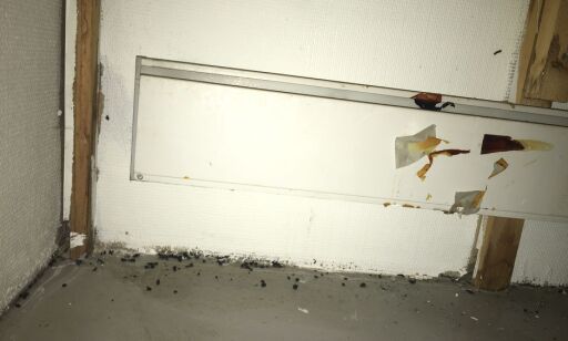 Da Thon-hotellet fikk besøk av ubudne gjester, slo Mattilsynet til