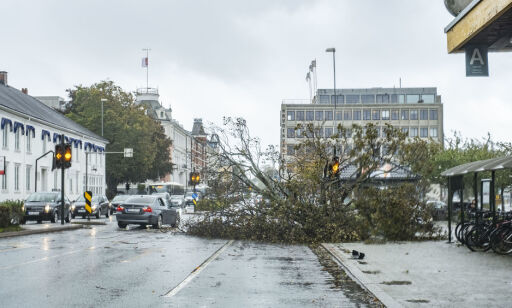 Kristiansand 20180921.
Ekstremværet Knud er på vei. Et tre har veltet over den mest trafikerte gaten i Kristiansand, Vestre Strandgate ved Rutebilstasjonen.
Foto: Tor Erik Schrøder / NTB scanpix